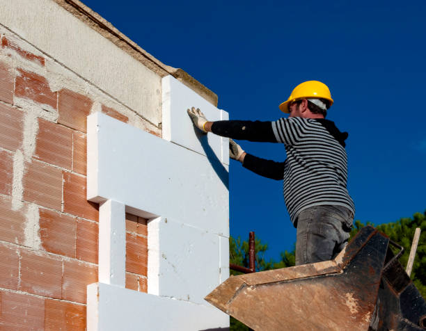 Best Insulation Contractors for Homes  in Hopkins, SC