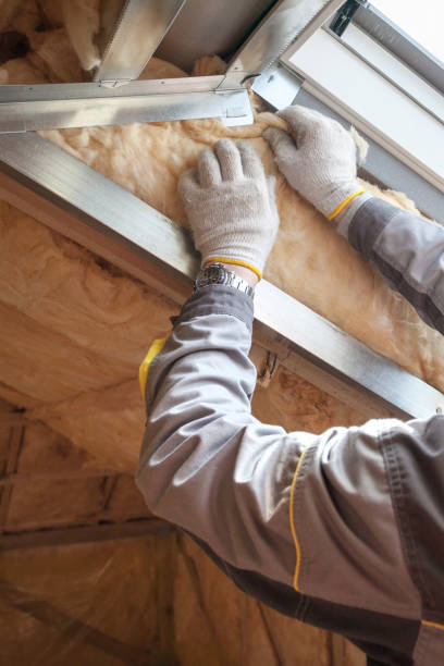 Insulation for Commercial Buildings in Hopkins, SC